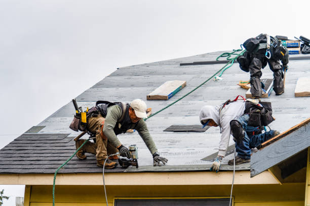 Professional Roofing technician working in Niagara, WI